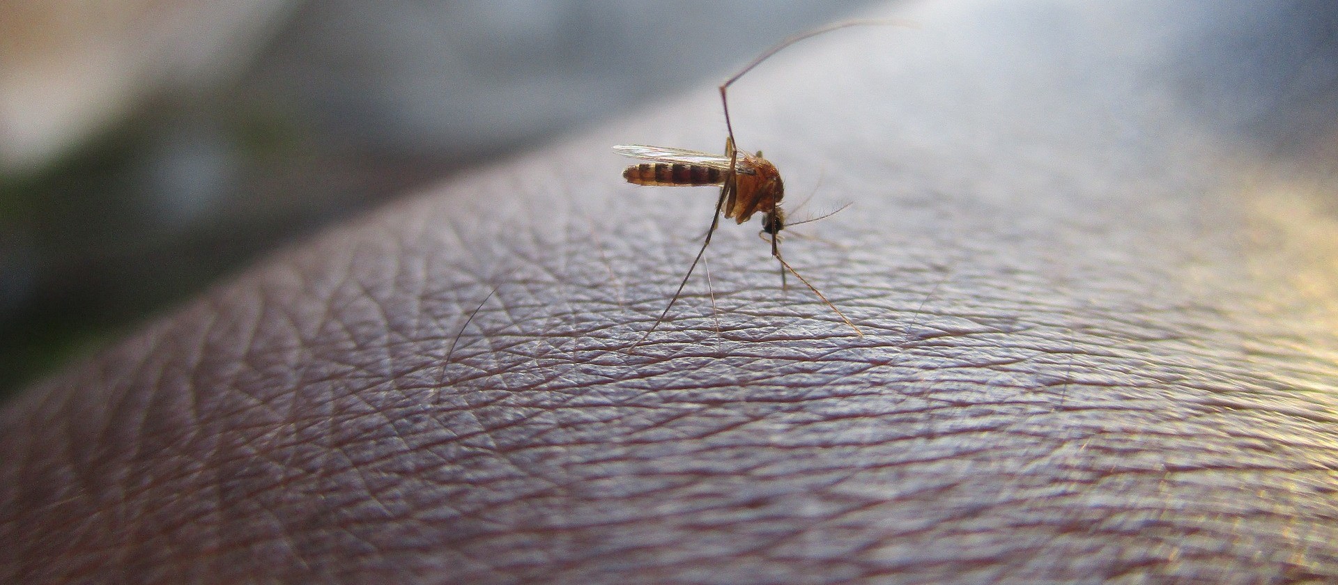 Cascavel confirma 28 casos de dengue em 51 dias do novo ciclo epidemiológico 