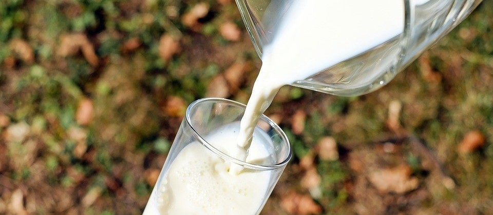 Após leve recuperação, preço do leite volta a recuar no Paraná