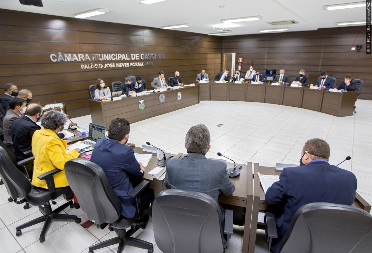 Reunião conjunta das comissões ouve prestações de contas sobre gastos durante a pandemia