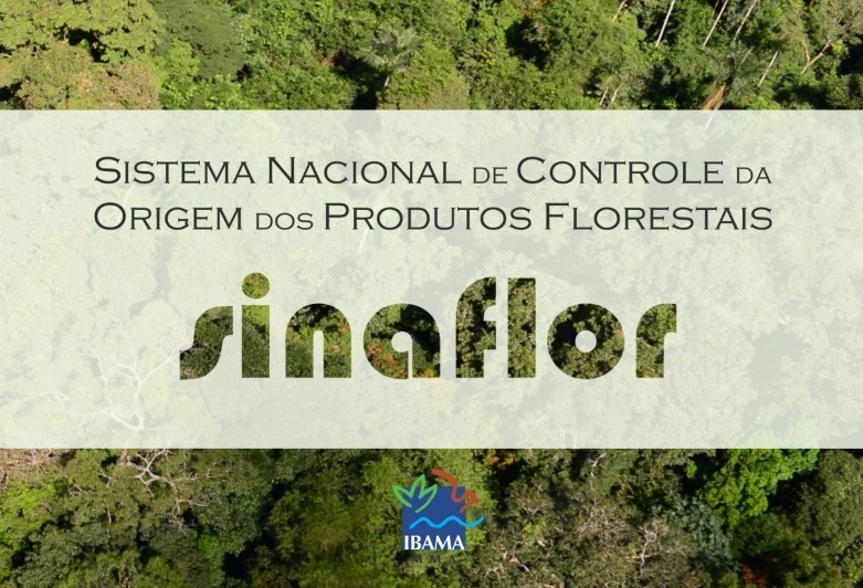 Sinaflor: Paraná é o maior número de empreendimentos cadastrados no sistema