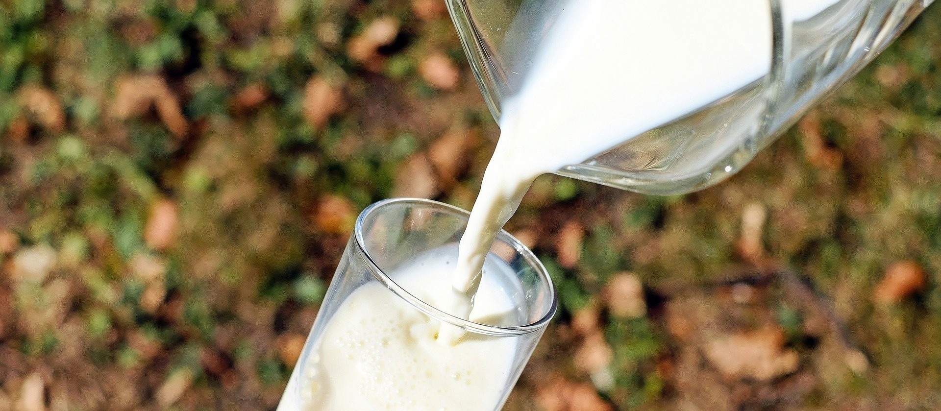 Conseleite/PR aprova valor de referência de R$1,86 para o litro do leite padrão entregue em outubro